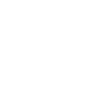 FeliLingua Logo
